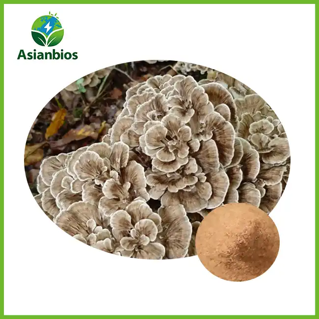 Maitake Mushroom Extract Powder